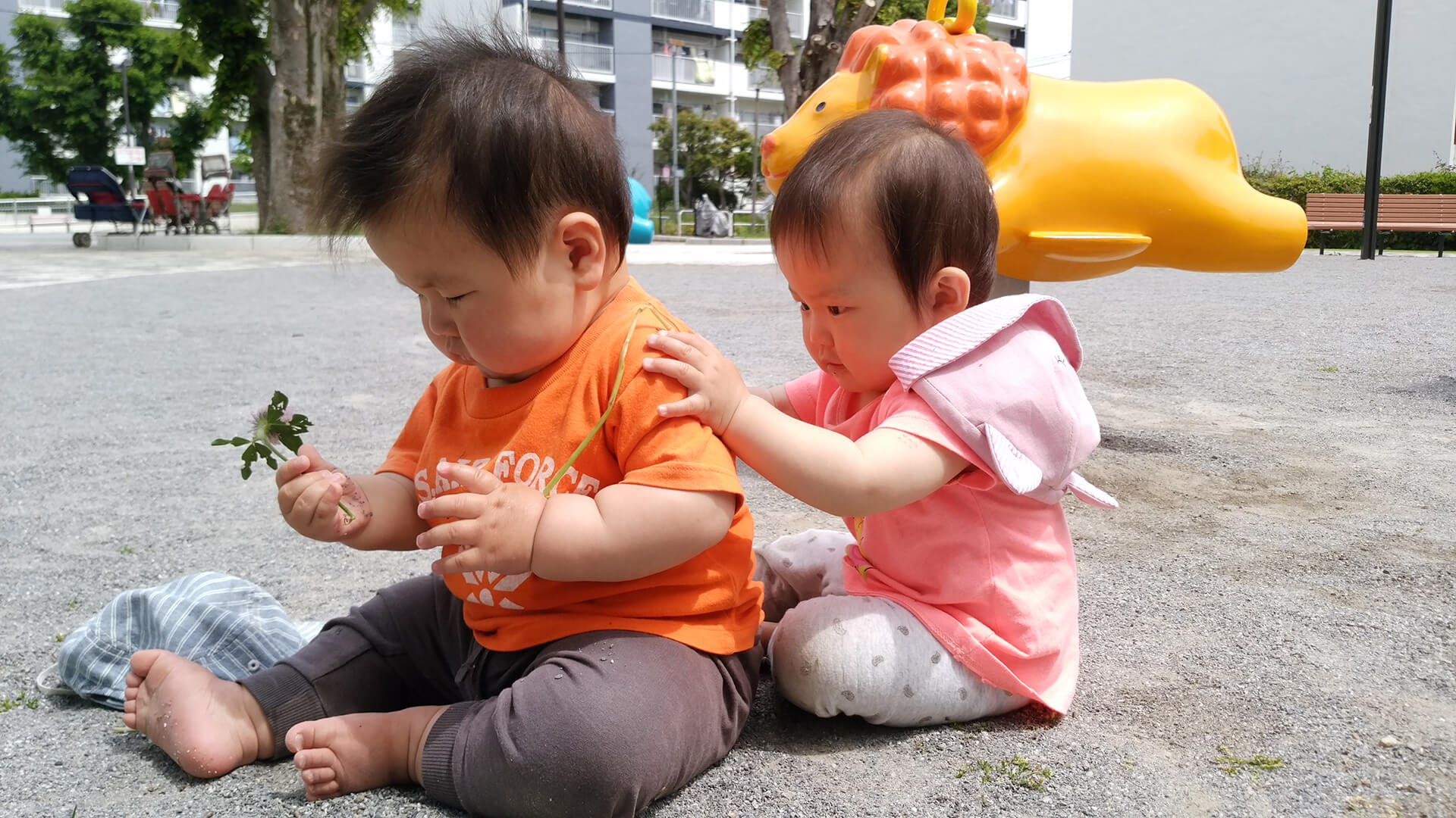 ありんこ保育園 東京都福生市の認可保育園