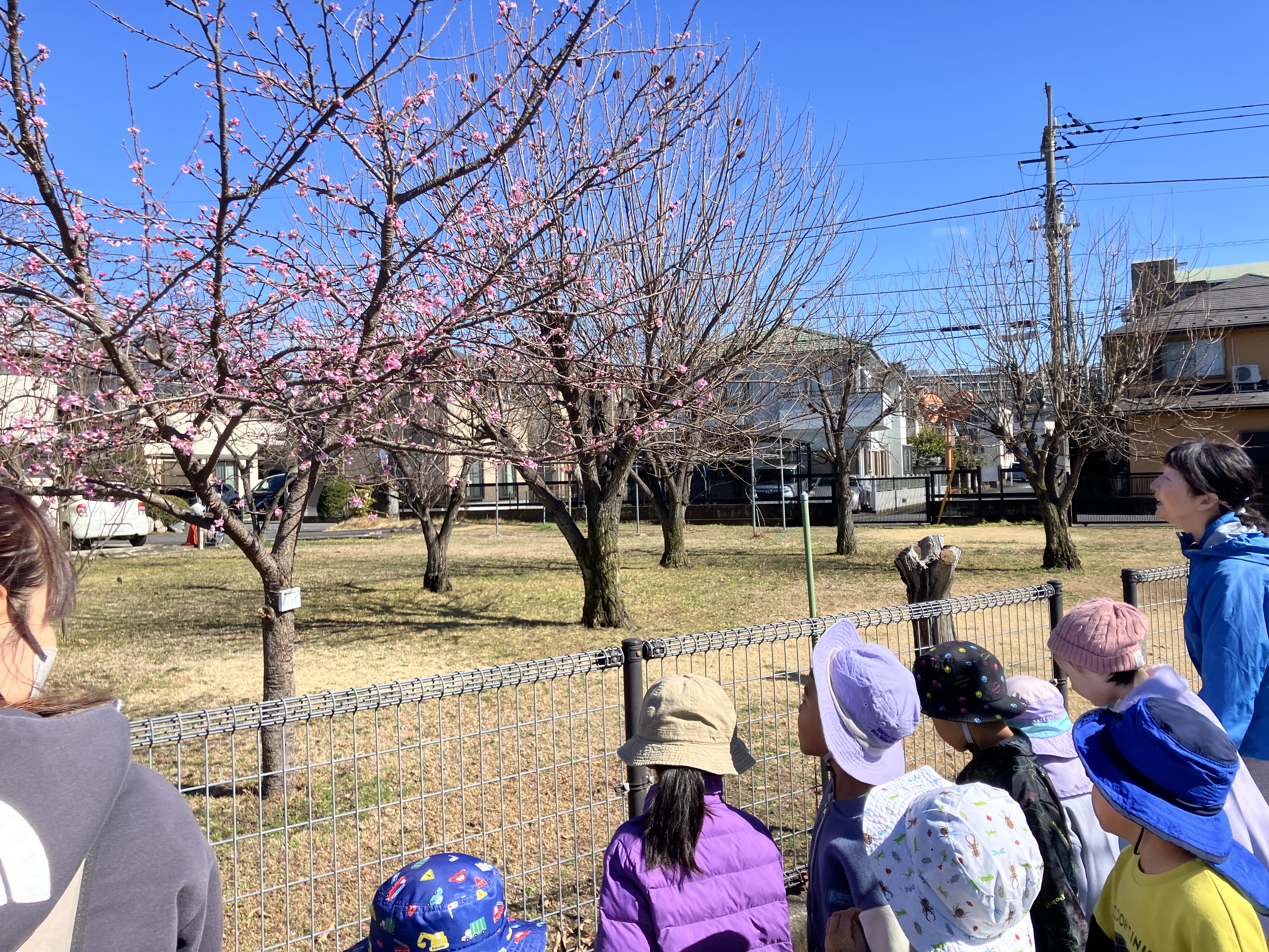 メインバナー01